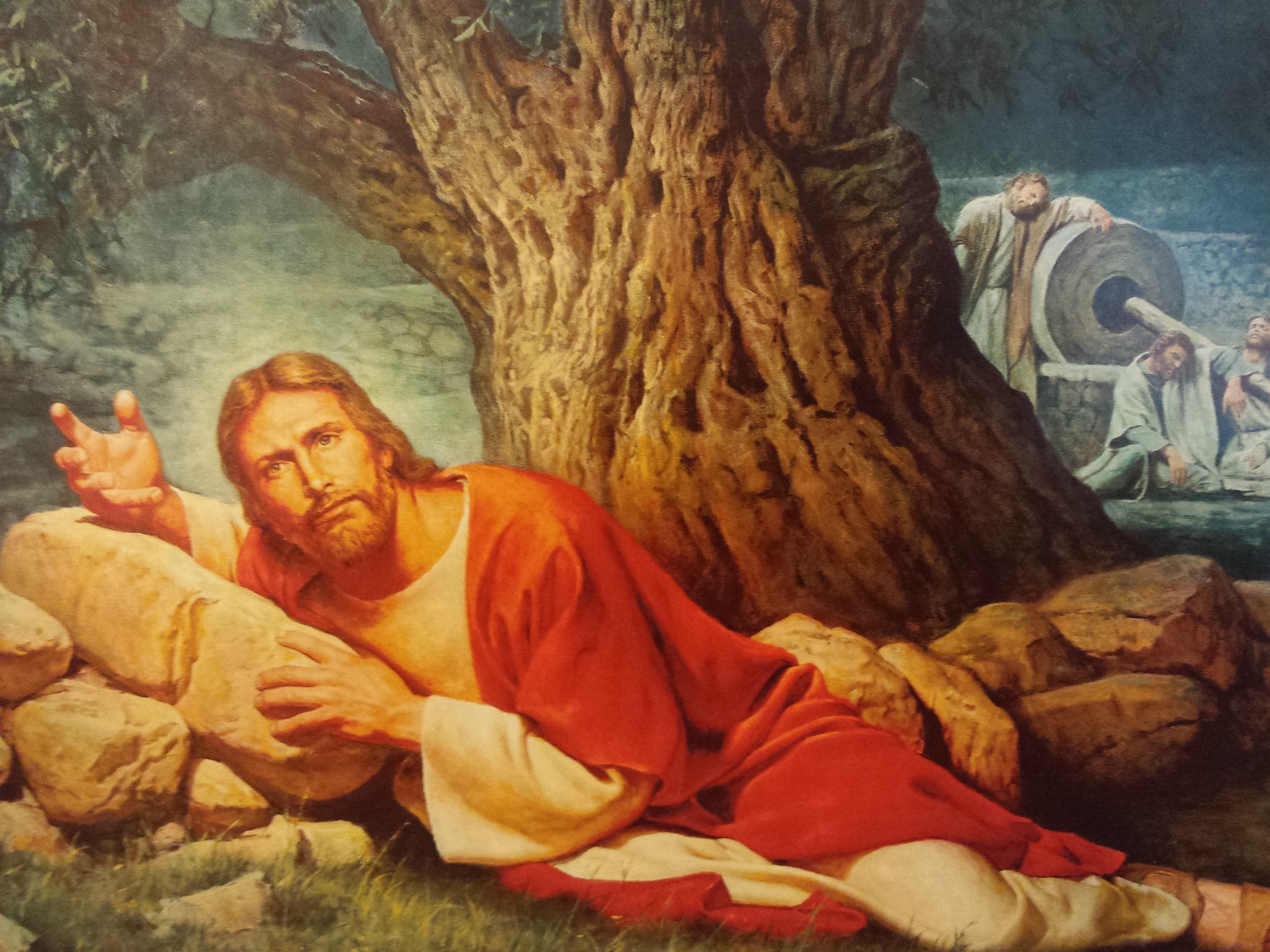 Ensinamentos sobre cura: Você Sabia que Pode Transformar Sua Vida?