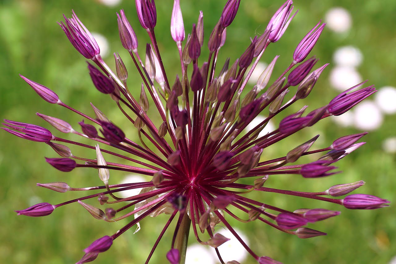 Intercessão por Outros: Você Sabia Que Pode Transformar Vidas?