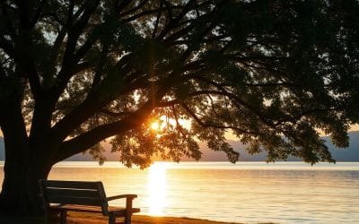 Filmes Cristãos sobre Perdão: Lições de Vida e Fé